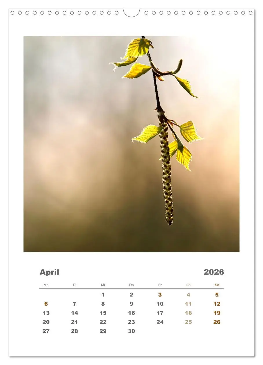 Bild: 9783516351330 | Minimalistisch, Gräser, Blüten, Blätter und Zweige im Fokus...