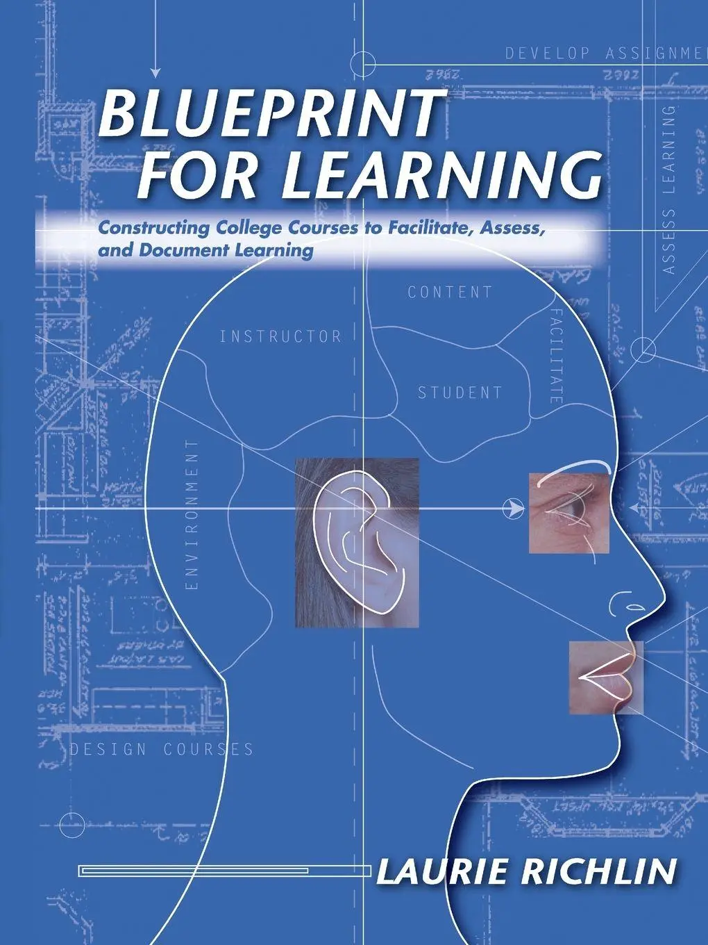 Cover: 9781579221430 | Blueprint for Learning | Laurie Richlin | Taschenbuch | Englisch