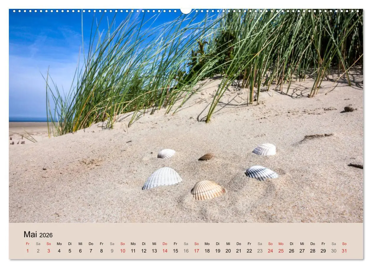 Bild: 9783457701430 | Nordseeinsel Borkum - Inselrausch im Hochseeklima (hochwertiger...