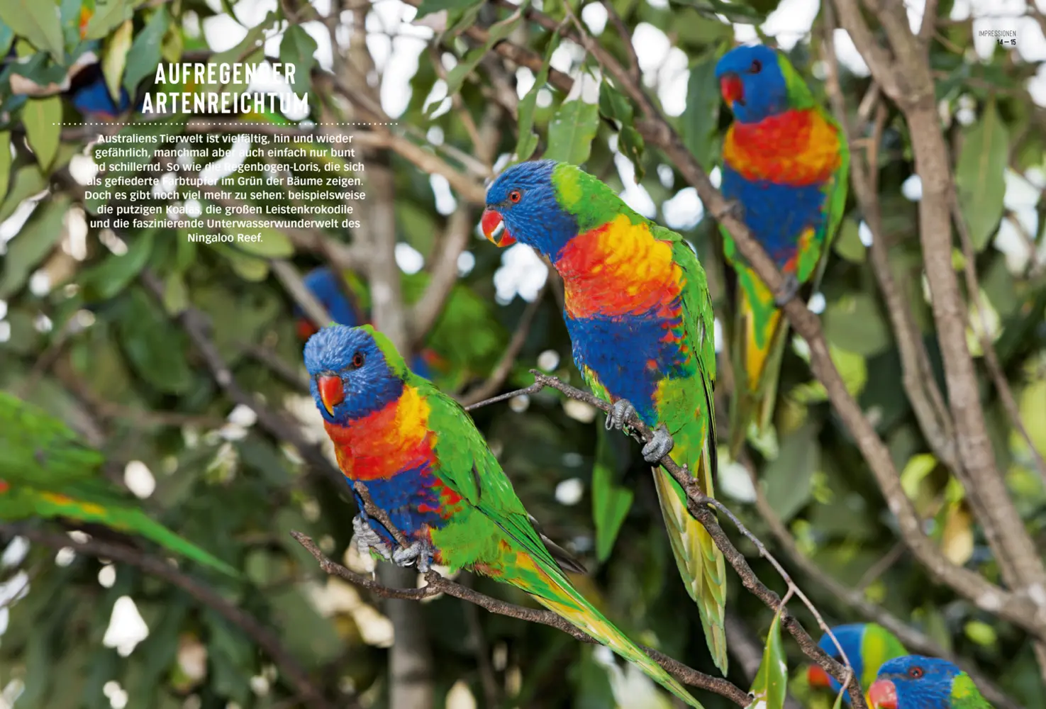 Bild: 9783616021430 | DuMont Bildatlas Australien Westen, Süden | DUMONT Reise | Taschenbuch
