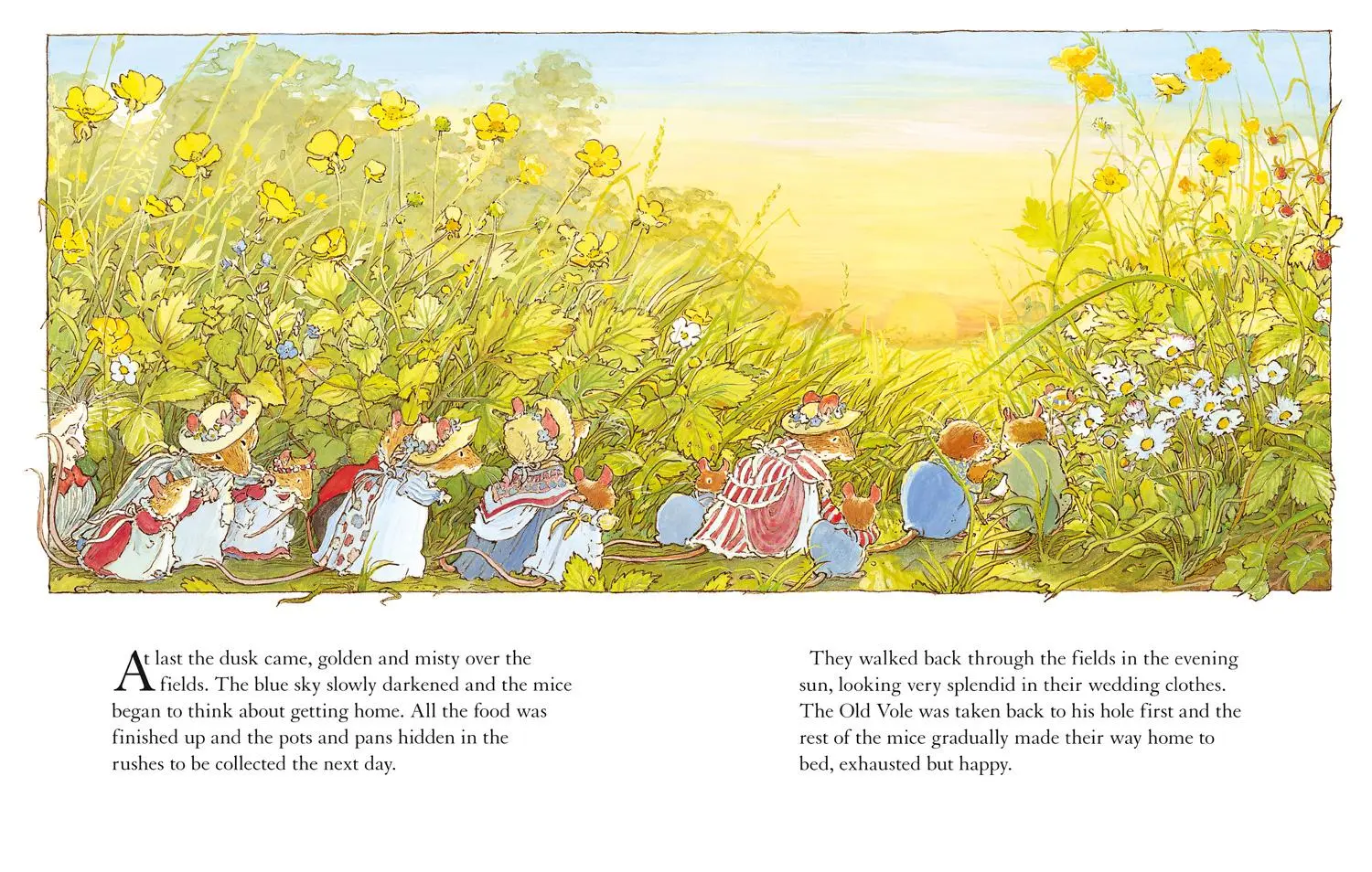 Bild: 9780007461530 | SUMMER STORY_BRAMBLY HEDGE PB | Jill Barklem | Taschenbuch | Englisch