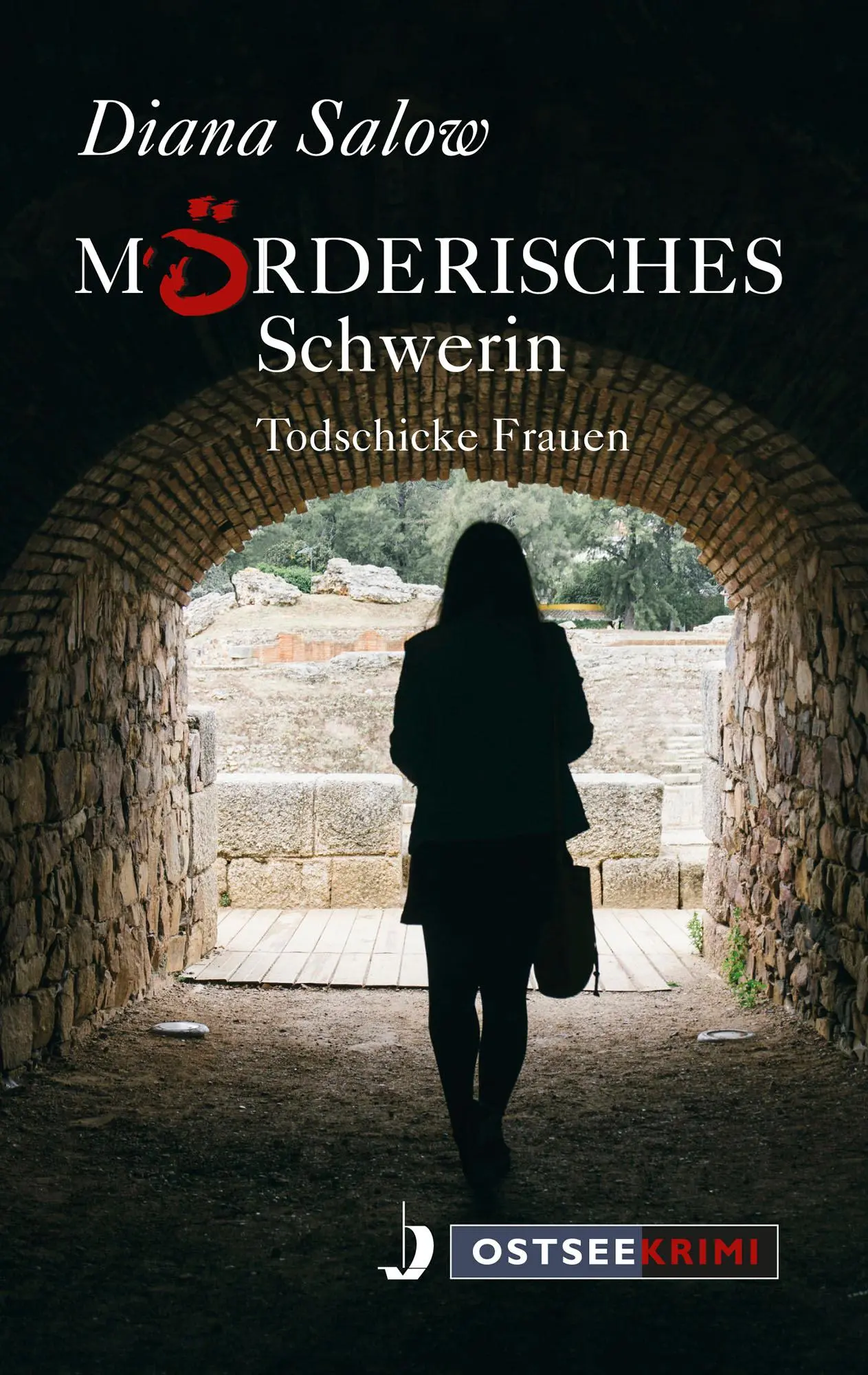 Cover: 9783356021530 | Mörderisches Schwerin | Todschicke Frauen, Ostseekrimi | Diana Salow