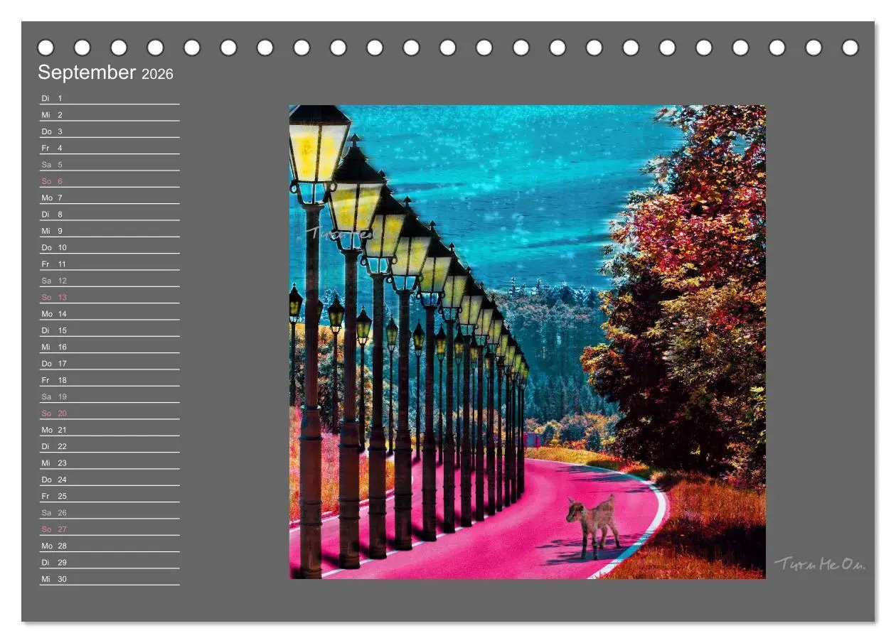 Bild: 9783516011630 | Schwarzwald. Anders. (Tischkalender 2026 DIN A5 quer), CALVENDO...