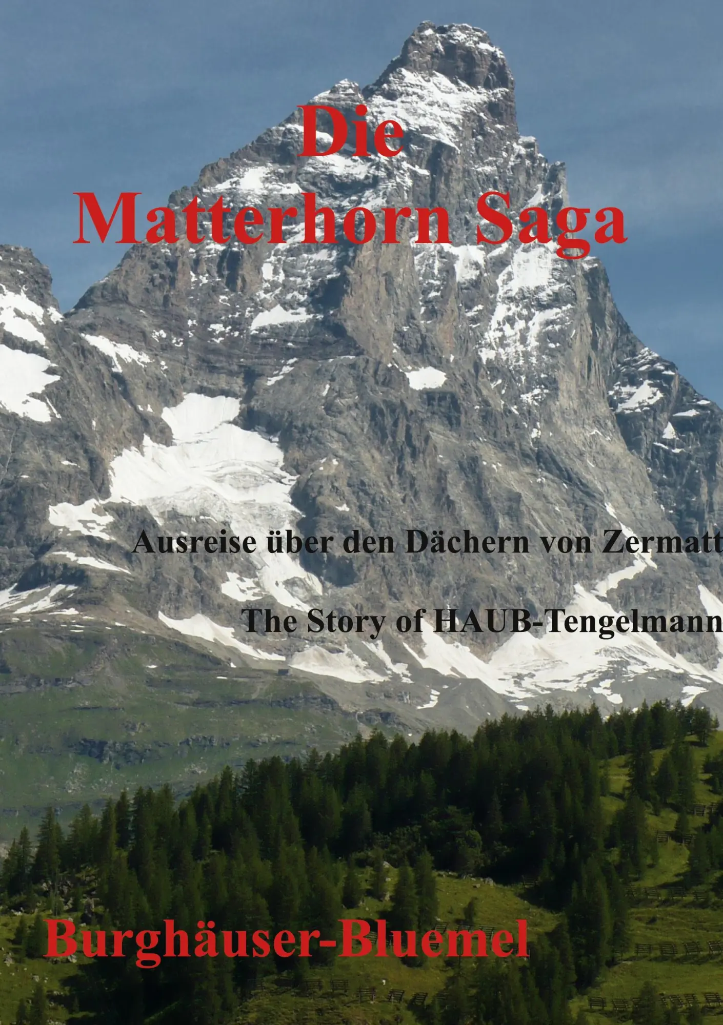 Cover: 9783757821630 | Die Matterhorn Saga | The Story of HAUB-Tengelmann | Bluemel | Buch