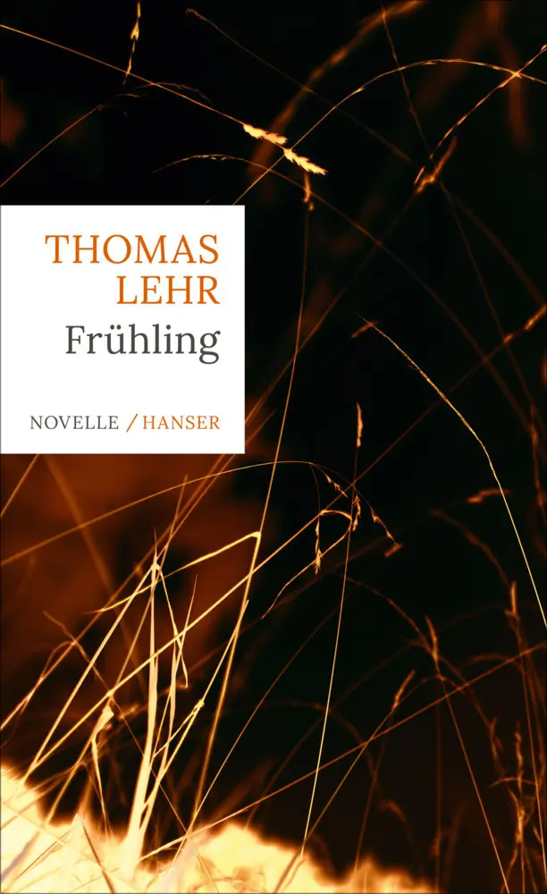 Cover: 9783446261730 | Frühling | Novelle | Thomas Lehr | Buch | 144 S. | Deutsch | 2019