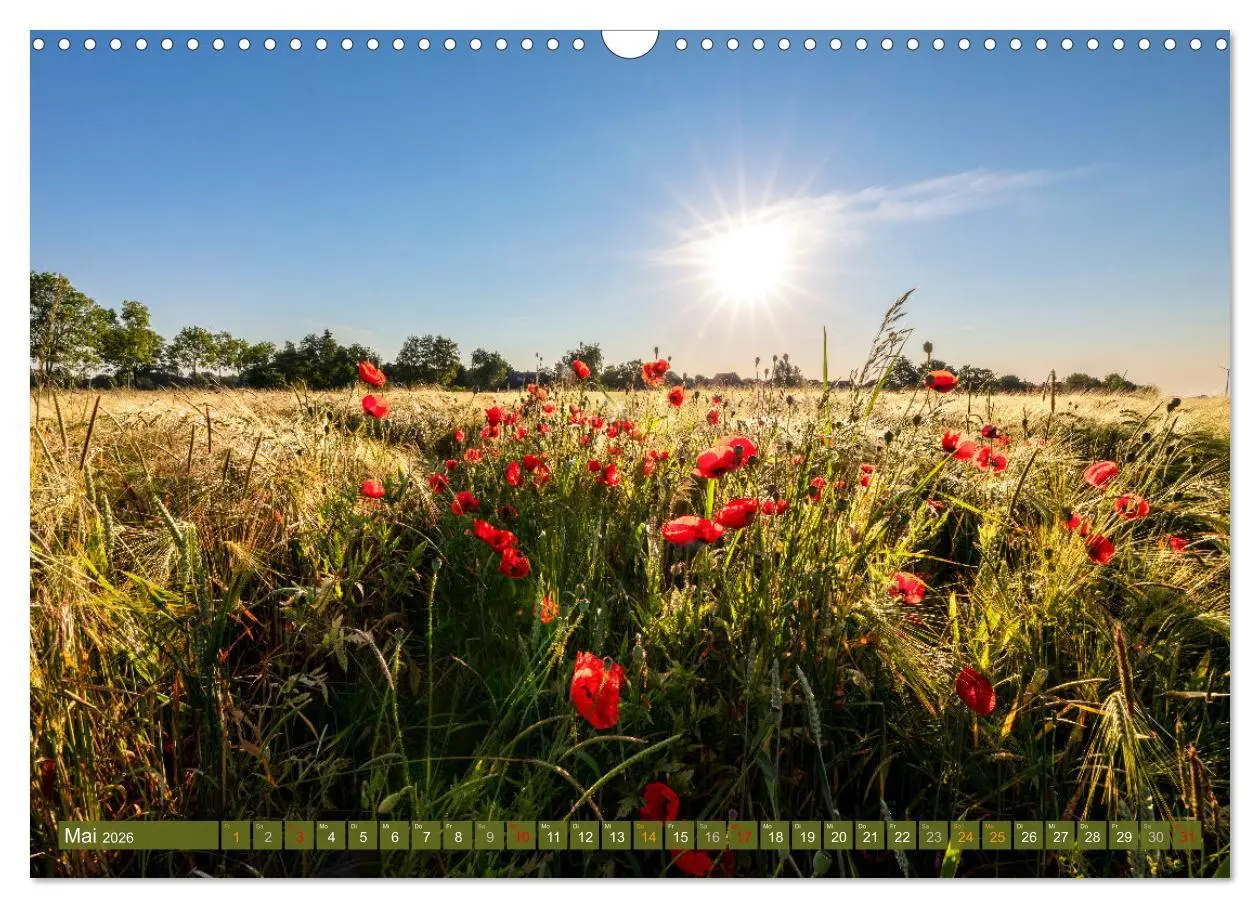 Bild: 9783457461730 | Moin Moormerland (Wandkalender 2026 DIN A3 quer), CALVENDO...
