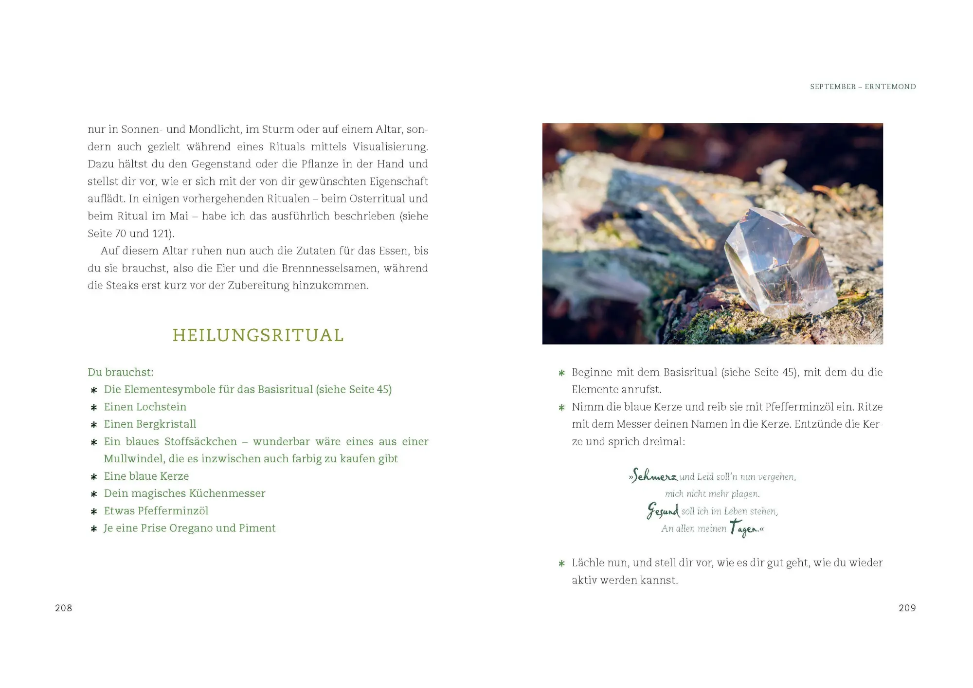 Bild: 9783809451730 | Magische Kräuter rund ums Jahr | Gabriele Meier | Taschenbuch | 320 S.
