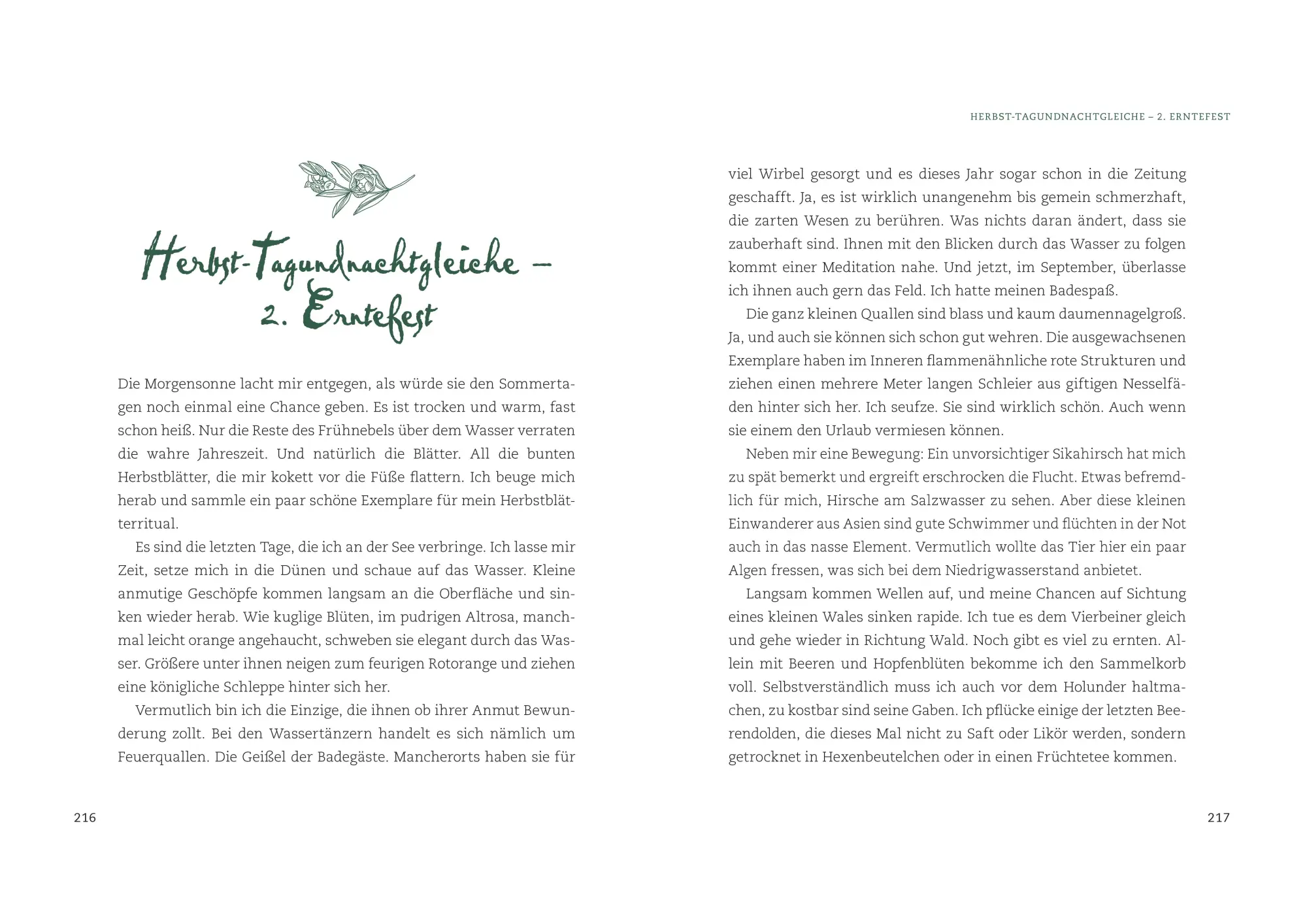 Bild: 9783809451730 | Magische Kräuter rund ums Jahr | Gabriele Meier | Taschenbuch | 320 S.