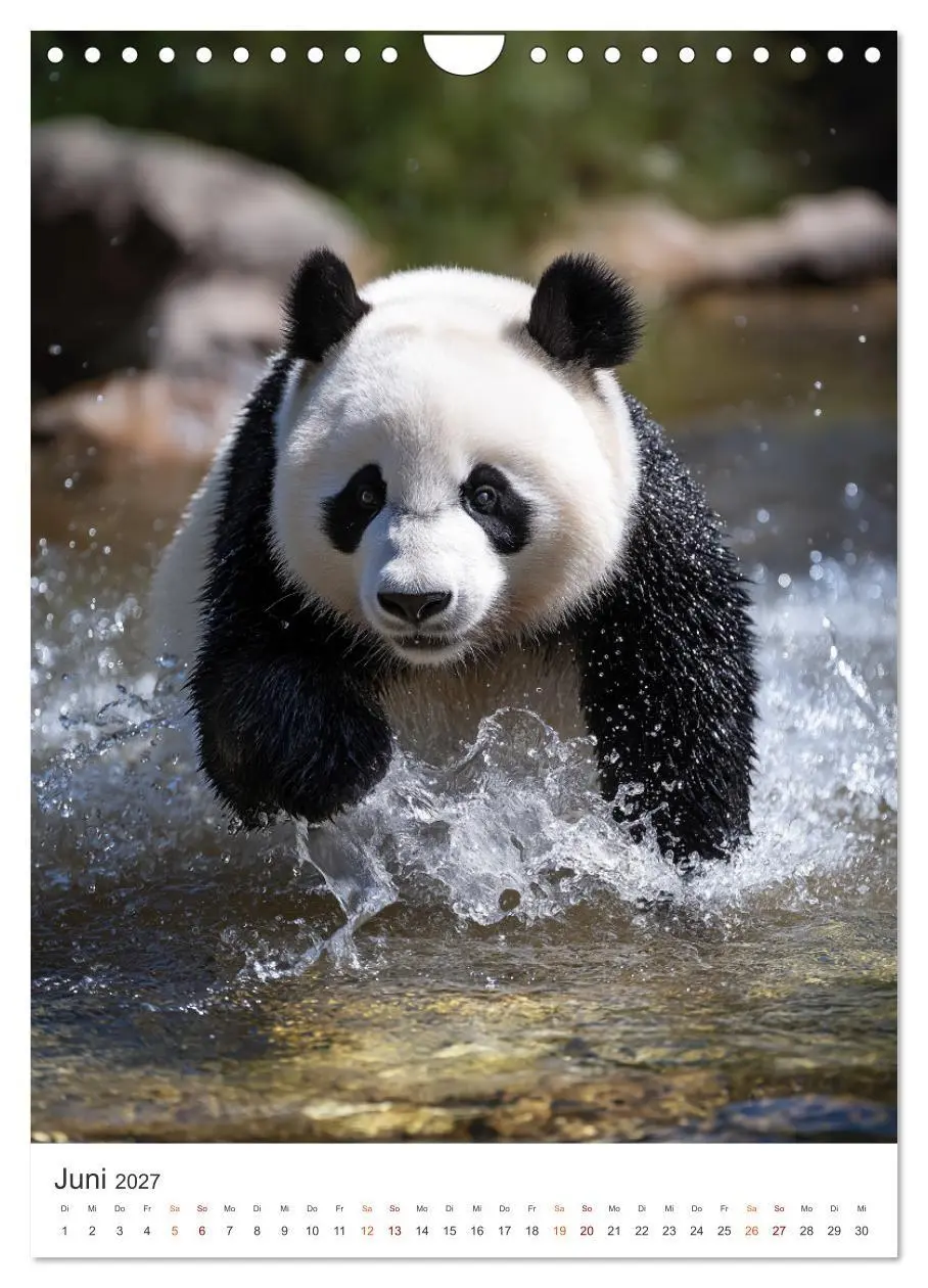 Bild: 9783516781830 | Panda Momente (Wandkalender 2027 DIN A4 hoch), CALVENDO Monatskalender