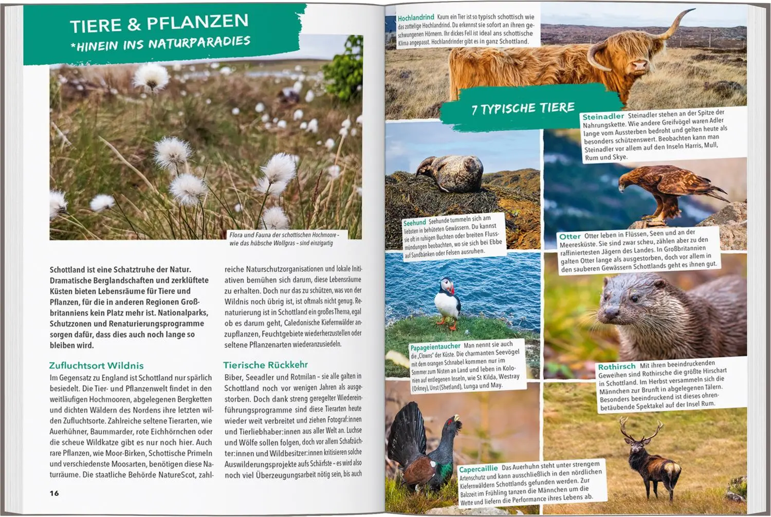 Bild: 9783575021830 | MARCO POLO OUTDOOR GUIDE Reiseführer Schottland | Kathi Kamleitner