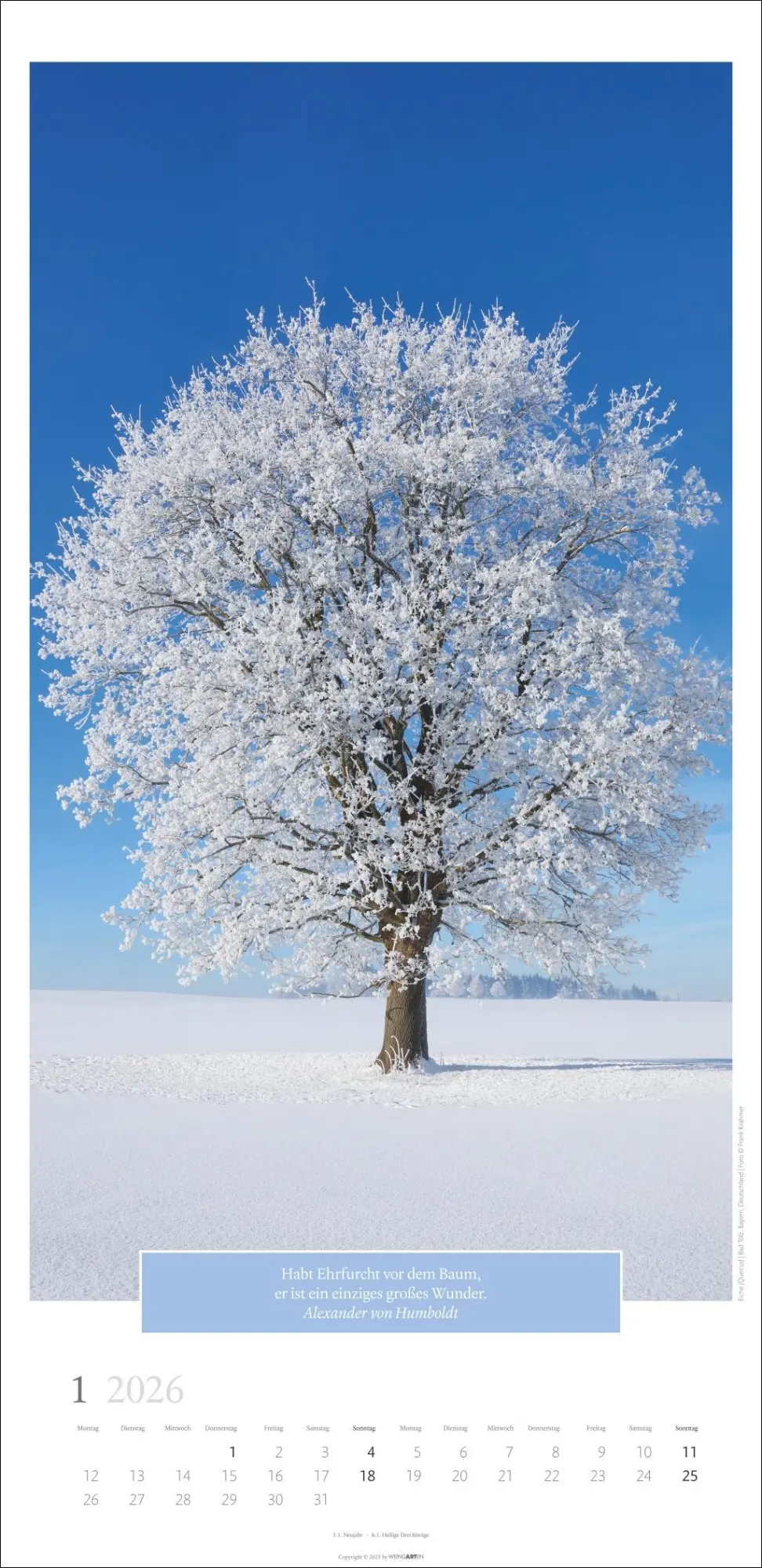 Bild: 9783839901830 | Wunderwelt der Bäume Kalender 2026 | Frank Krahmer | Kalender | 14 S.