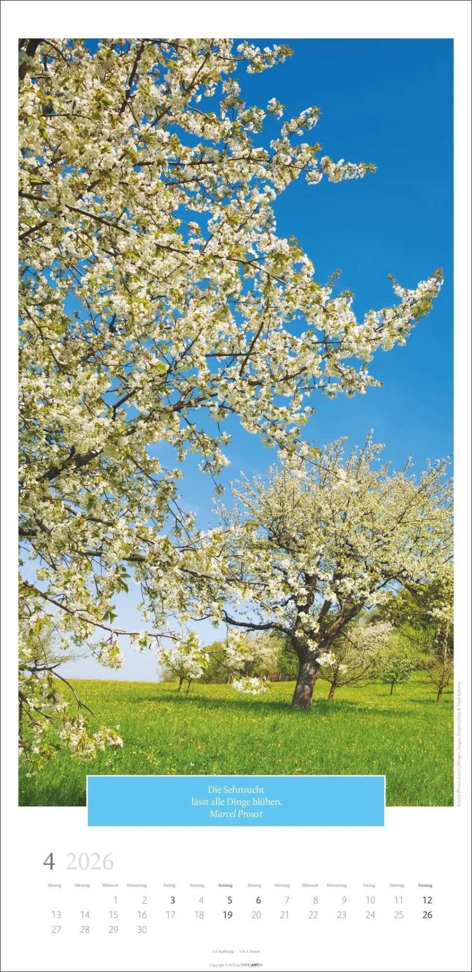 Bild: 9783839901830 | Wunderwelt der Bäume Kalender 2026 | Frank Krahmer | Kalender | 14 S.