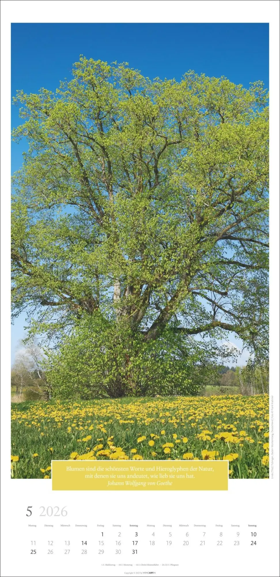 Bild: 9783839901830 | Wunderwelt der Bäume Kalender 2026 | Frank Krahmer | Kalender | 14 S.