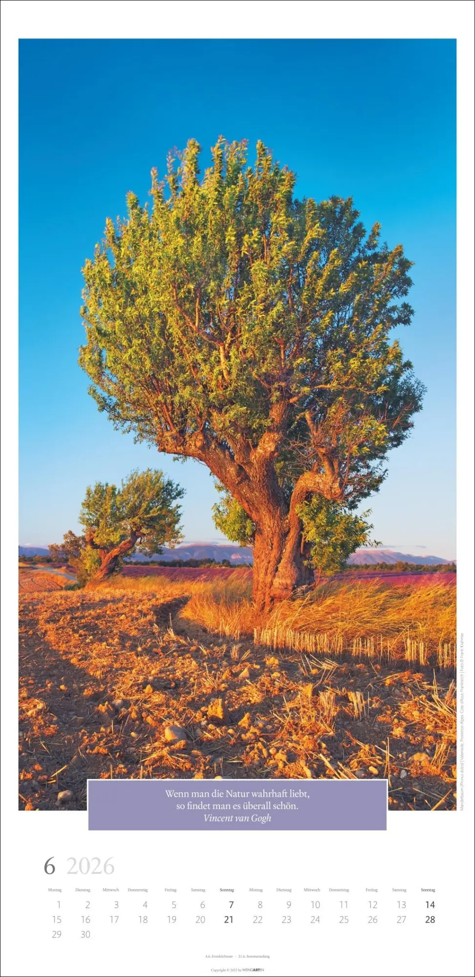 Bild: 9783839901830 | Wunderwelt der Bäume Kalender 2026 | Frank Krahmer | Kalender | 14 S.