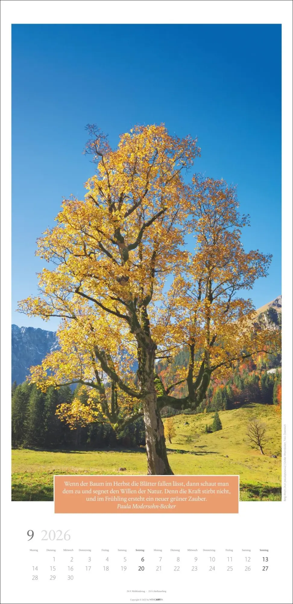 Bild: 9783839901830 | Wunderwelt der Bäume Kalender 2026 | Frank Krahmer | Kalender | 14 S.