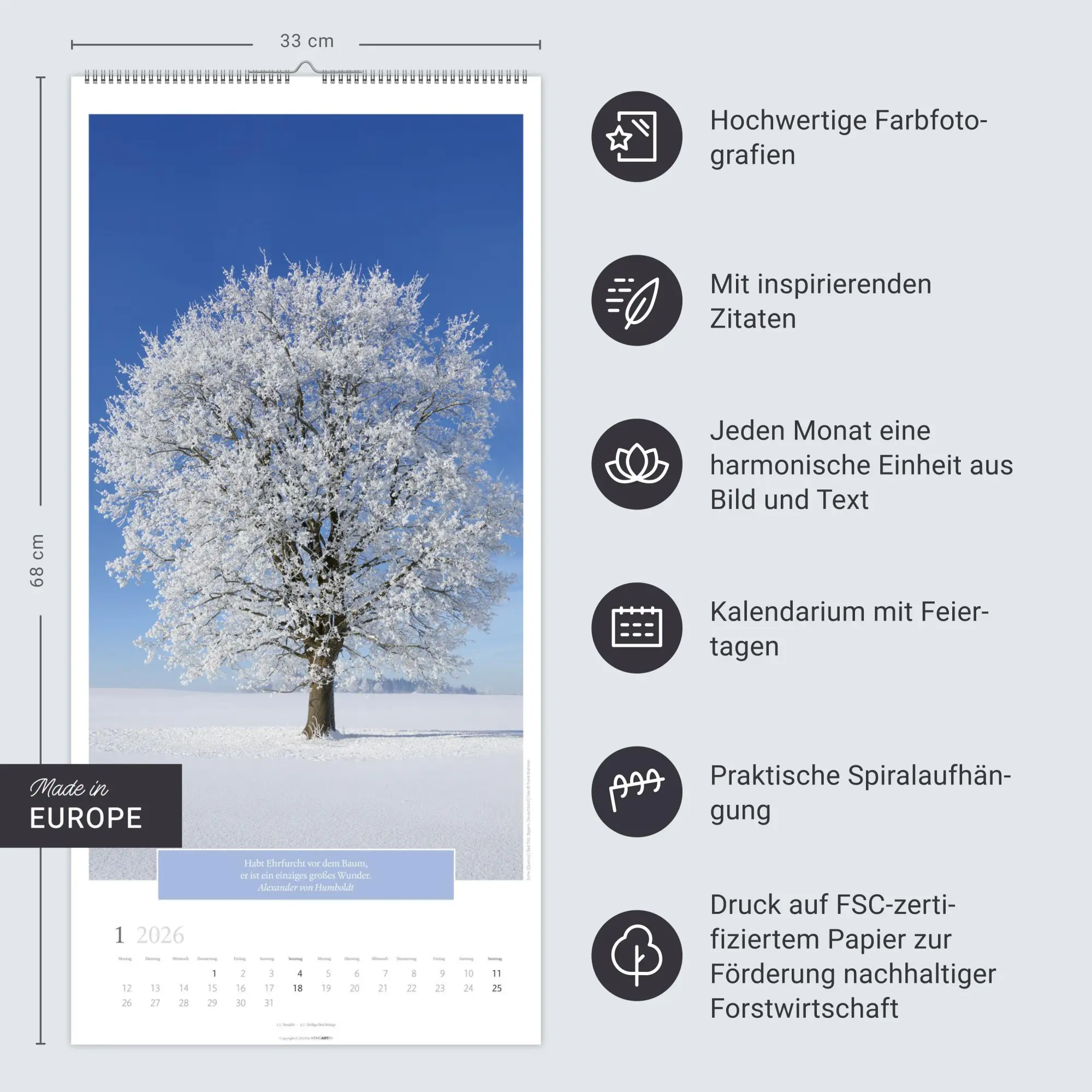 Bild: 9783839901830 | Wunderwelt der Bäume Kalender 2026 | Frank Krahmer | Kalender | 14 S.