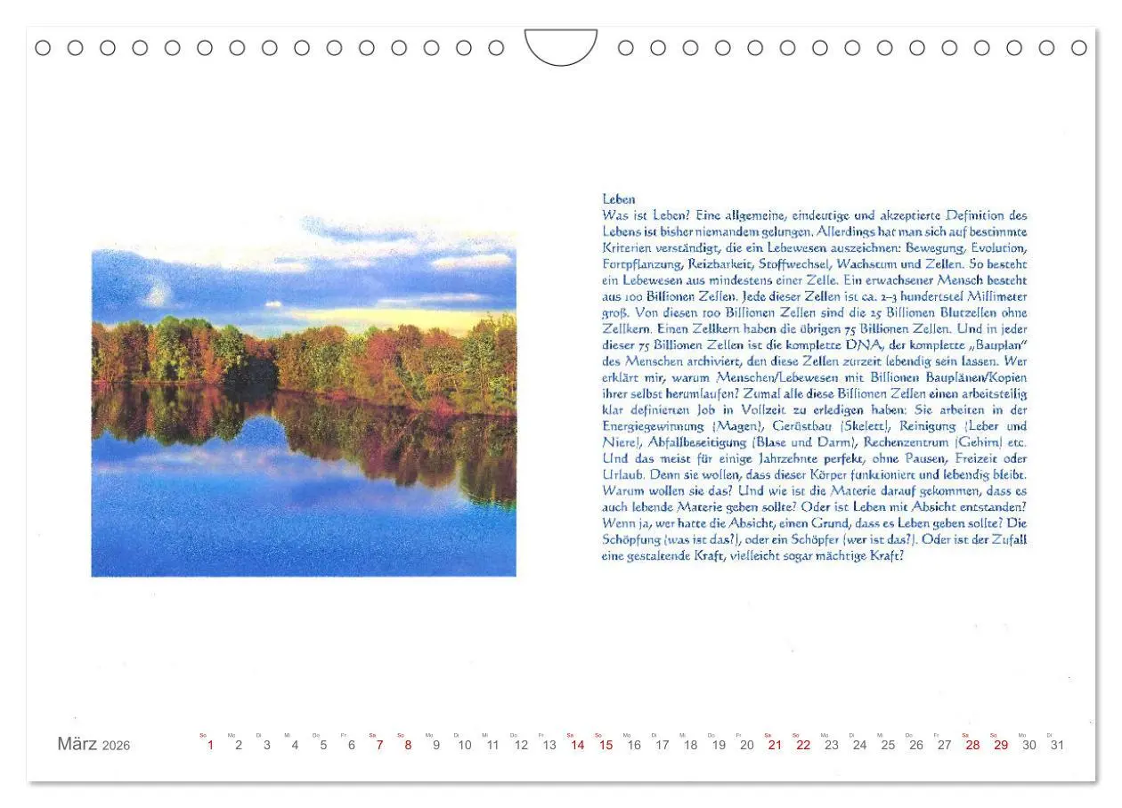 Bild: 9783457371930 | Wundervolle Wirklichkeit - Nachdenk-Kalender (Wandkalender 2026 DIN...