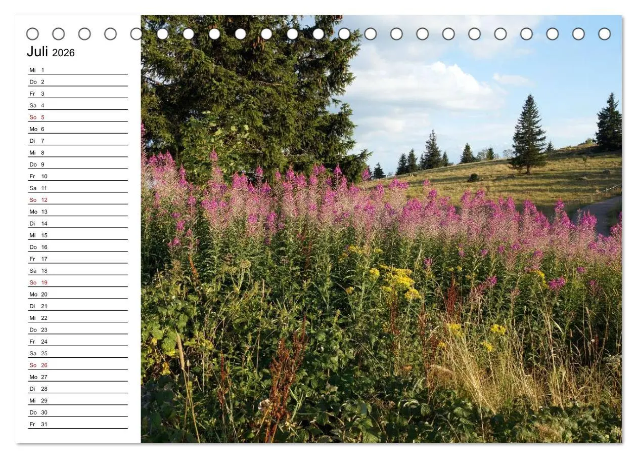 Bild: 9783457991930 | Südschwarzwald - Impressionen (Tischkalender 2026 DIN A5 quer),...