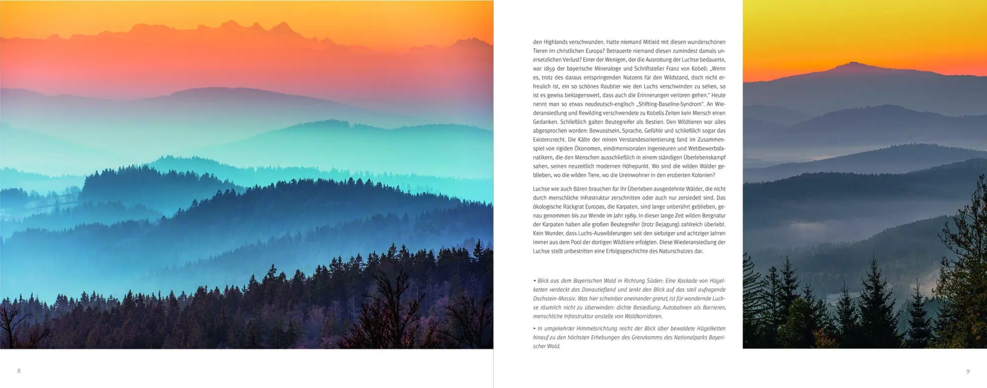 Bild: 9783987261930 | Luchs | Berndt Fischer (u. a.) | Buch | 176 S. | Deutsch | 2026