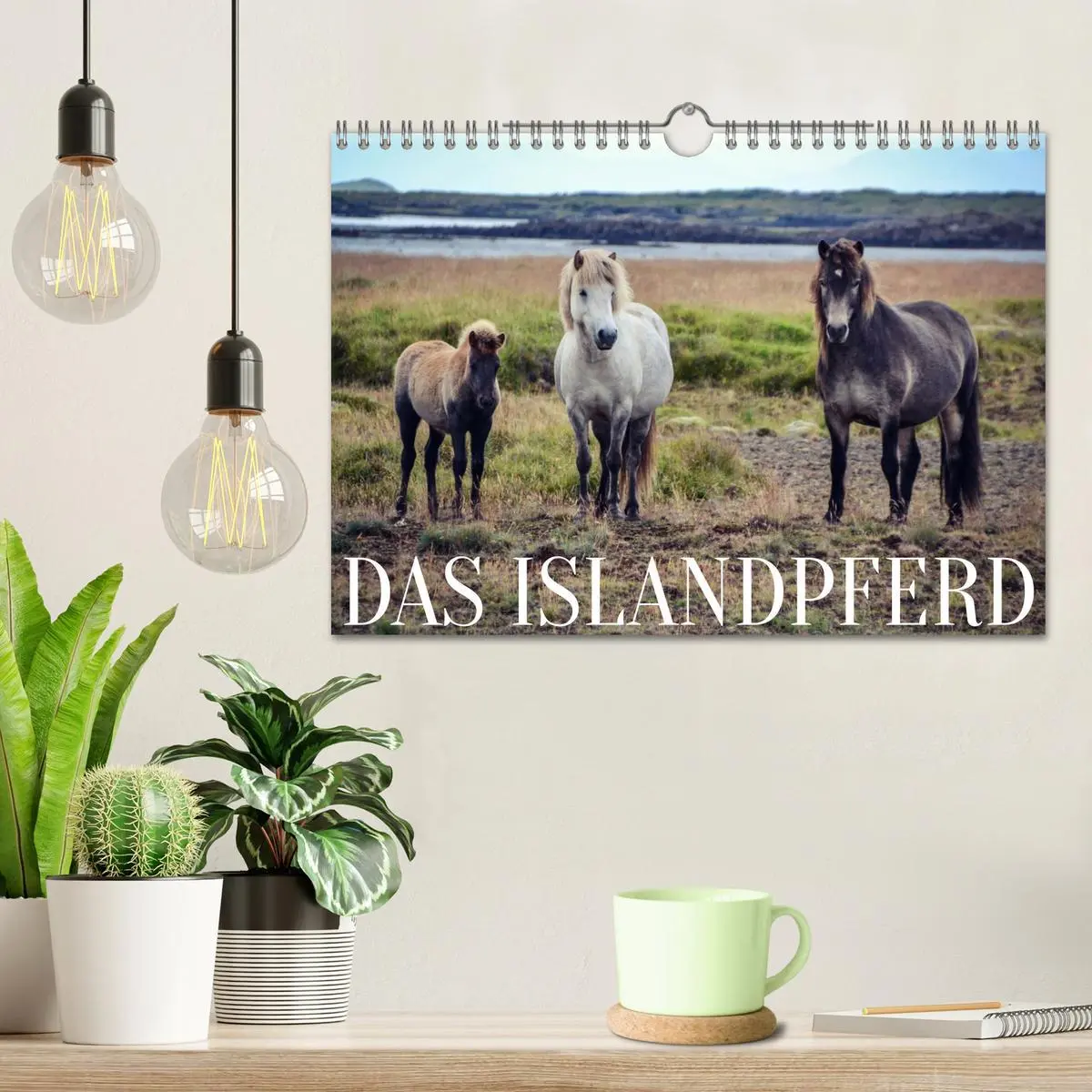 Bild: 9783457642030 | Das Islandpferd (Wandkalender 2026 DIN A4 quer), CALVENDO...