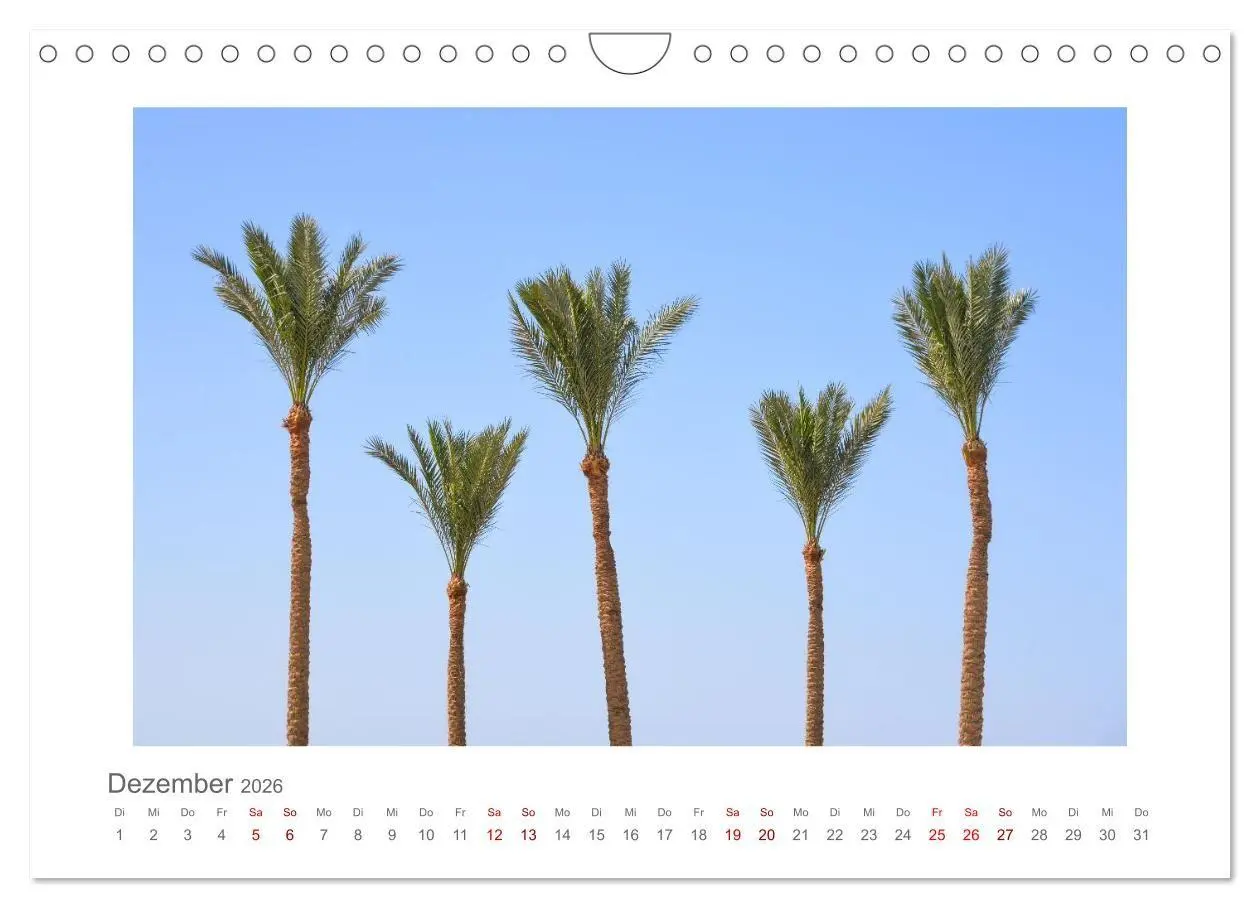 Bild: 9783516662030 | Ägypten - unterwegs mit Julia Hahn (Wandkalender 2026 DIN A4 quer),...