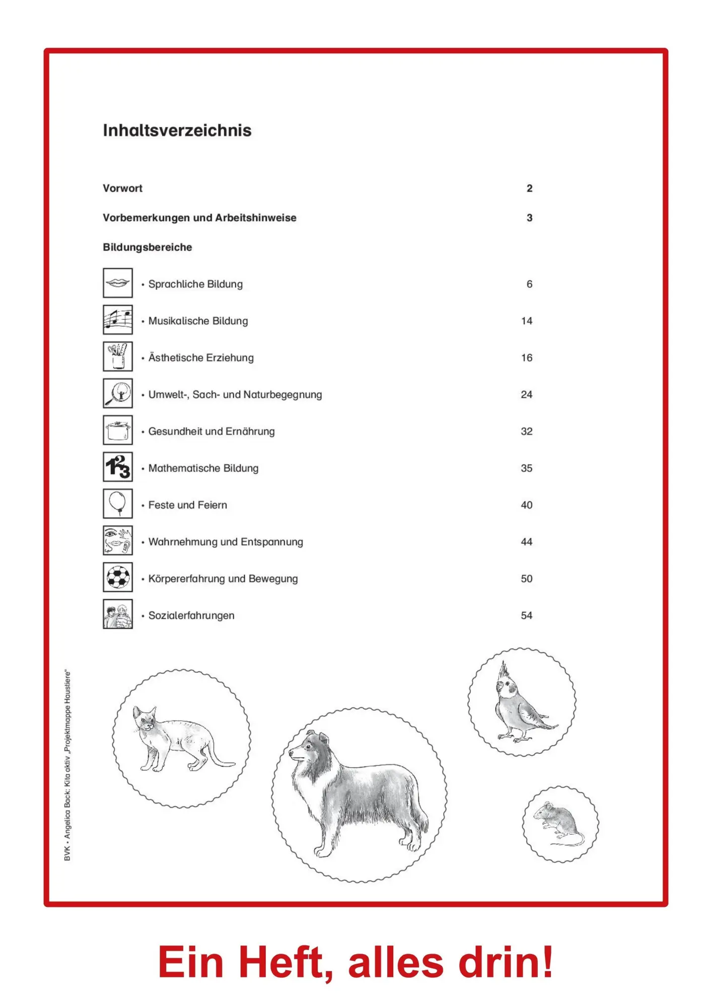 Bild: 9783965202030 | Kita aktiv Projektmappe Haustiere | Angelica Back | Broschüre | 56 S.