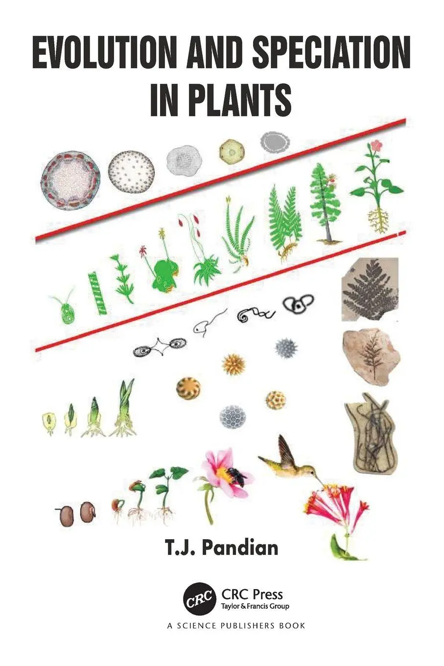 Cover: 9781032192130 | Evolution and Speciation in Plants | T. J. Pandian | Taschenbuch