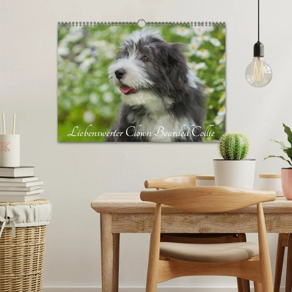 Bild: 9783516032130 | Liebenswerter Clown Bearded Collie (Wandkalender 2026 DIN A3 quer),...