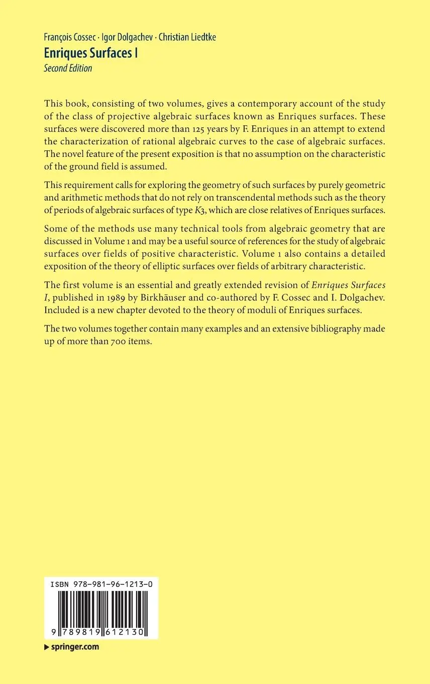 Rückseite: 9789819612130 | Enriques Surfaces I | François Cossec (u. a.) | Buch | xxi | Englisch