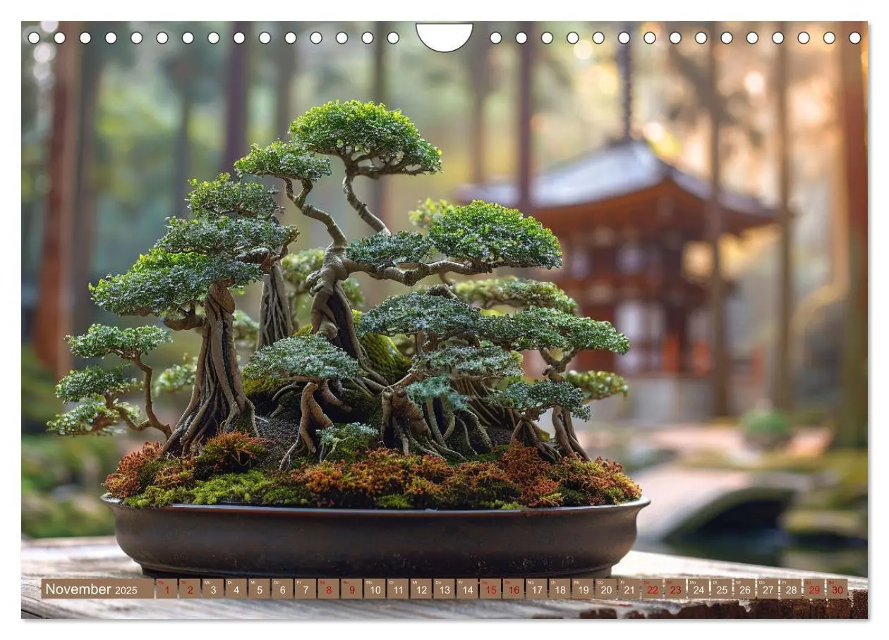 Bild: 9783383822230 | Bonsai meditativ (Wandkalender 2025 DIN A4 quer), CALVENDO...