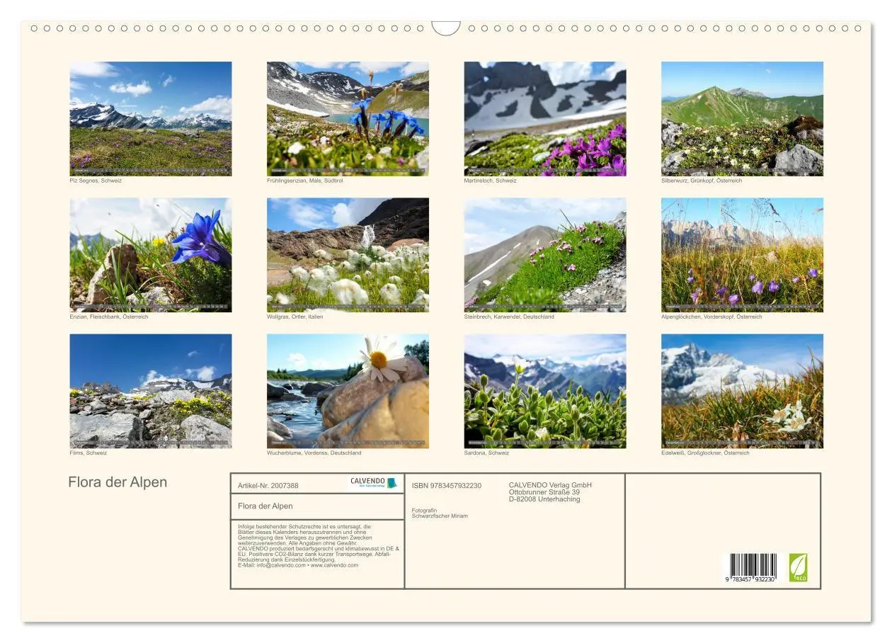 Bild: 9783457932230 | Flora der Alpen (Wandkalender 2026 DIN A2 quer), CALVENDO...