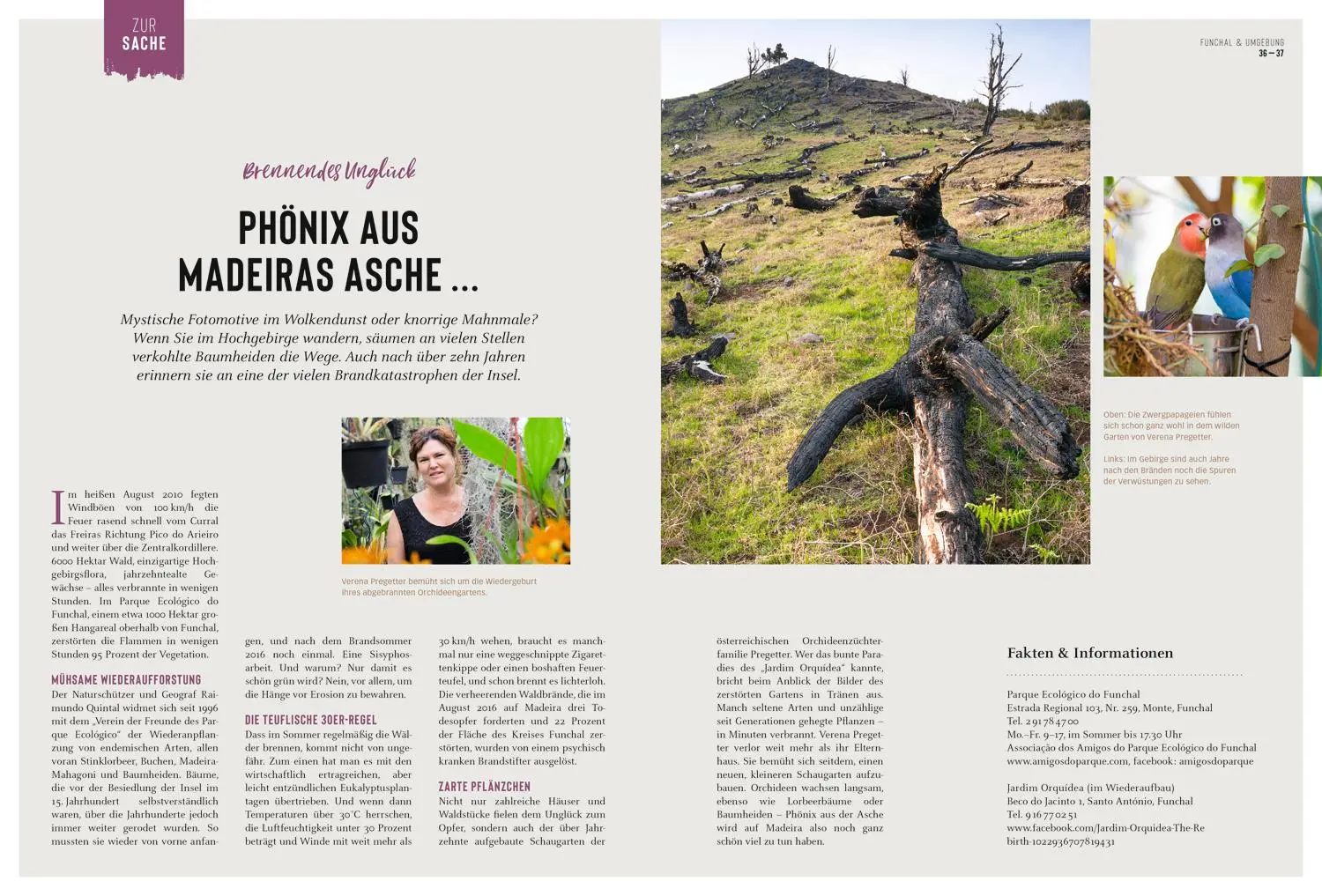 Bild: 9783616012230 | DUMONT Bildatlas Madeira | Sara Lier | Taschenbuch | DuMont Bildatlas