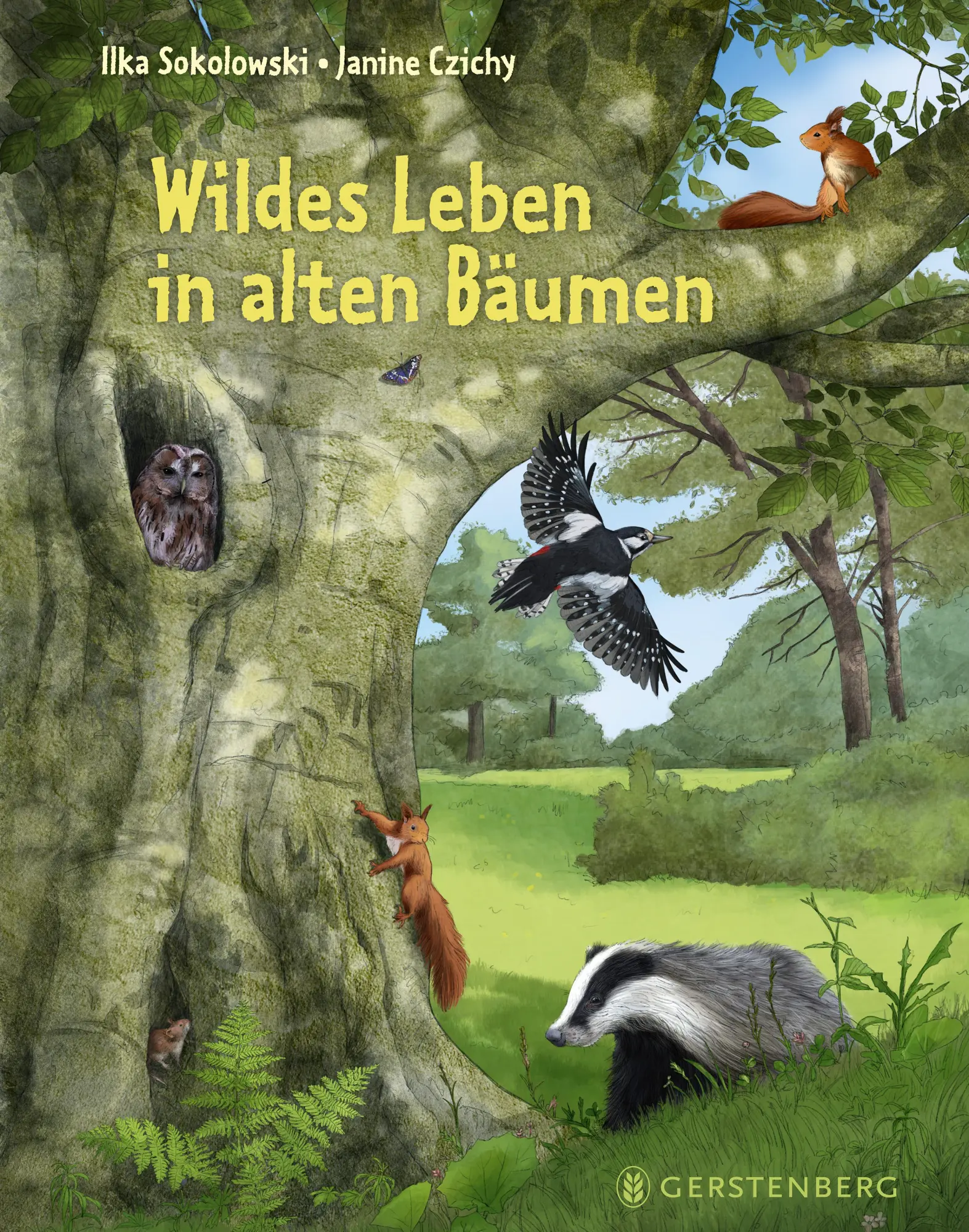 Cover: 9783836962230 | Wildes Leben in alten Bäumen | Ilka Sokolowski | Buch | 64 S. | 2025