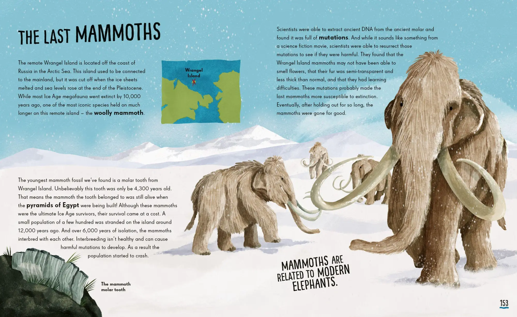 Bild: 9781838992330 | Tales of the Prehistoric World | Kallie Moore | Buch | Gebunden | 2022