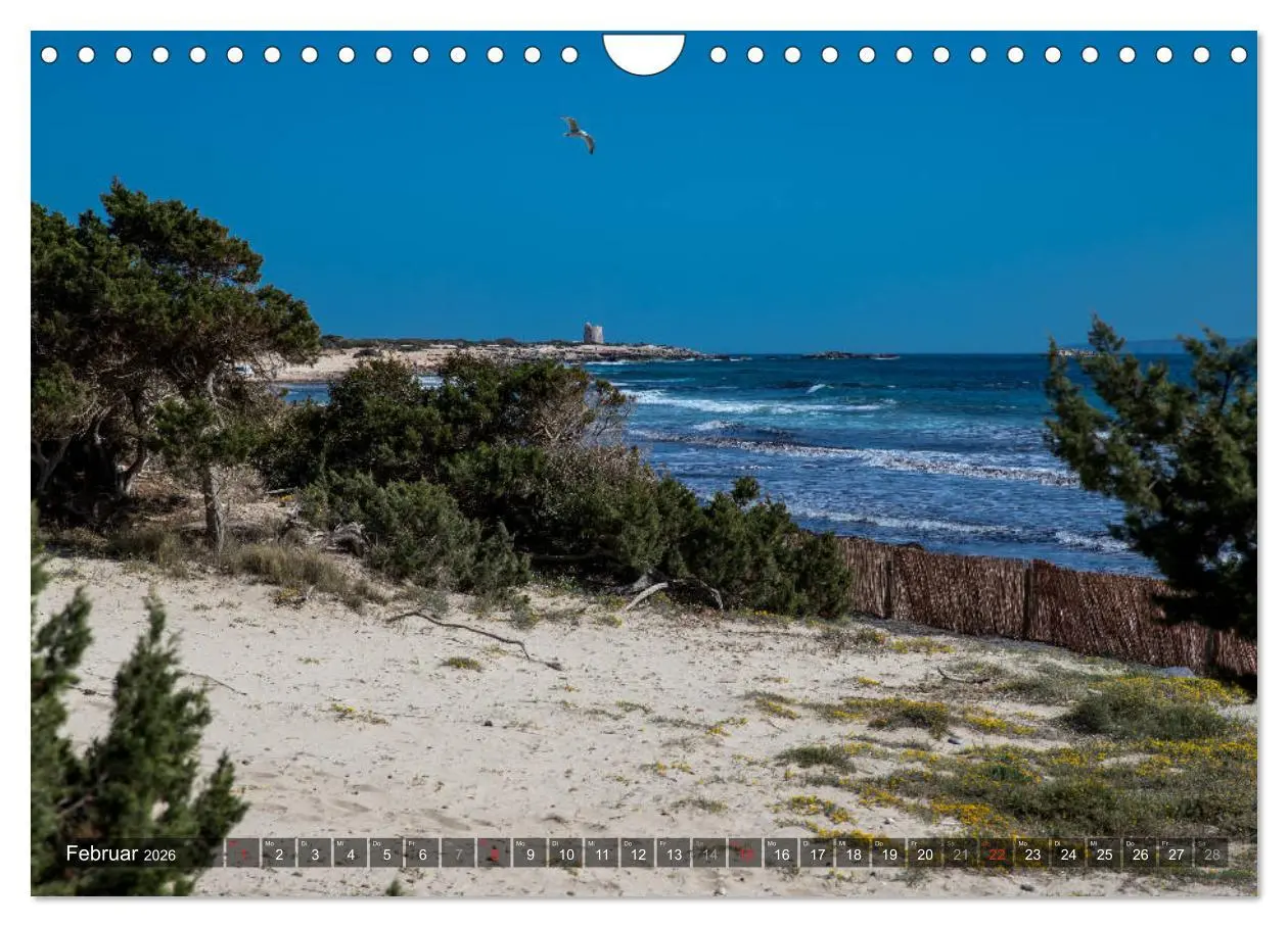 Bild: 9783457922330 | Ibiza Küste, Buchten und Strände (Wandkalender 2026 DIN A4 quer),...