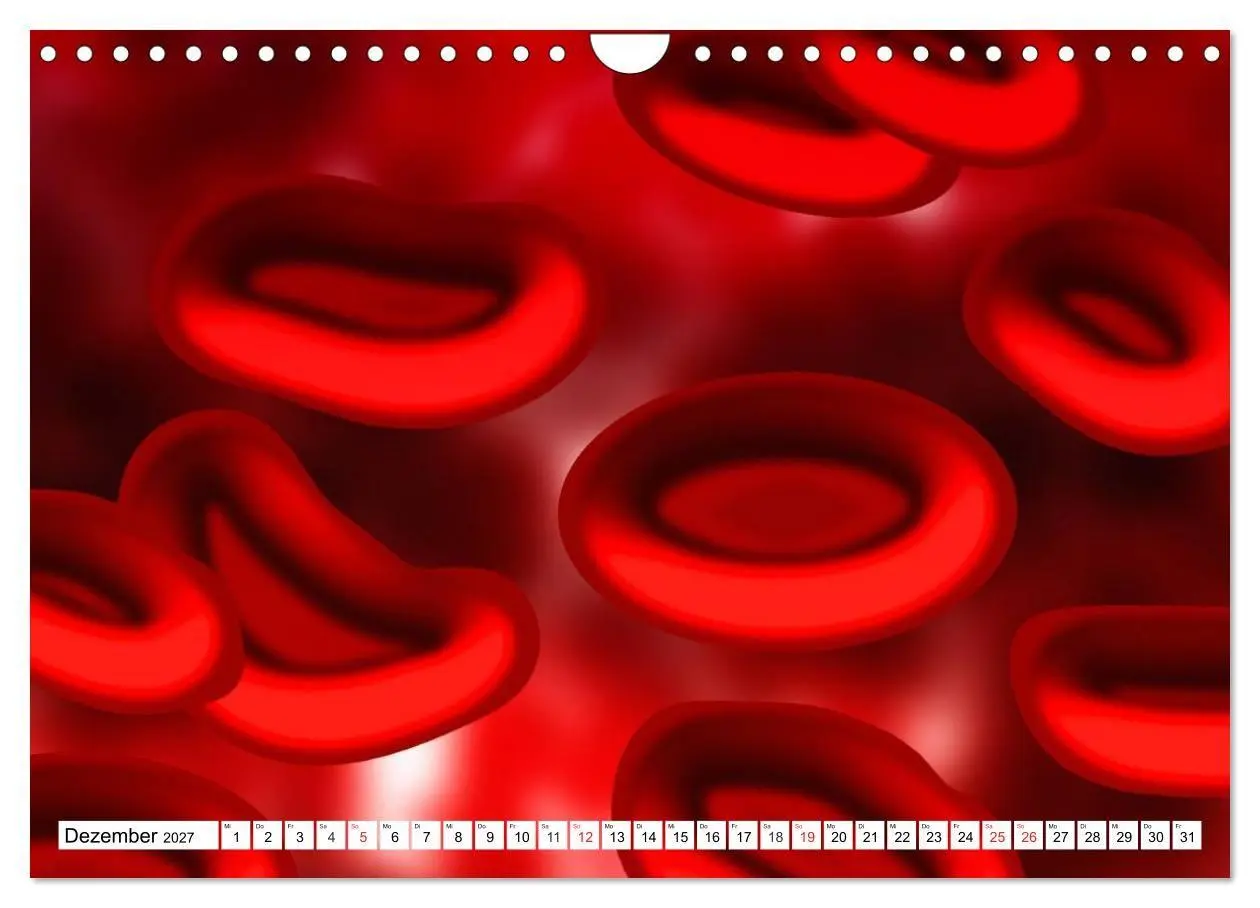 Bild: 9783569892330 | Mikrobiologie. Mikroorganismen, Genetik und Zellen (Wandkalender...