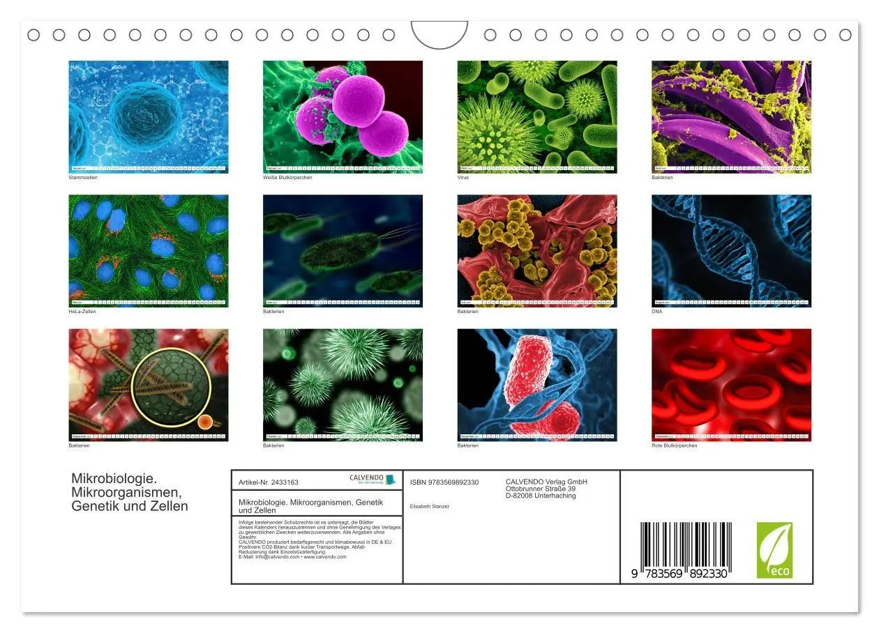 Bild: 9783569892330 | Mikrobiologie. Mikroorganismen, Genetik und Zellen (Wandkalender...