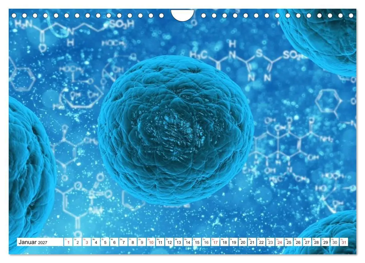 Bild: 9783569892330 | Mikrobiologie. Mikroorganismen, Genetik und Zellen (Wandkalender...