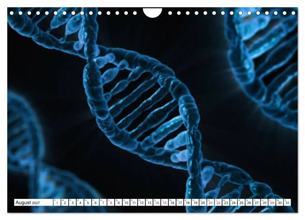 Bild: 9783569892330 | Mikrobiologie. Mikroorganismen, Genetik und Zellen (Wandkalender...