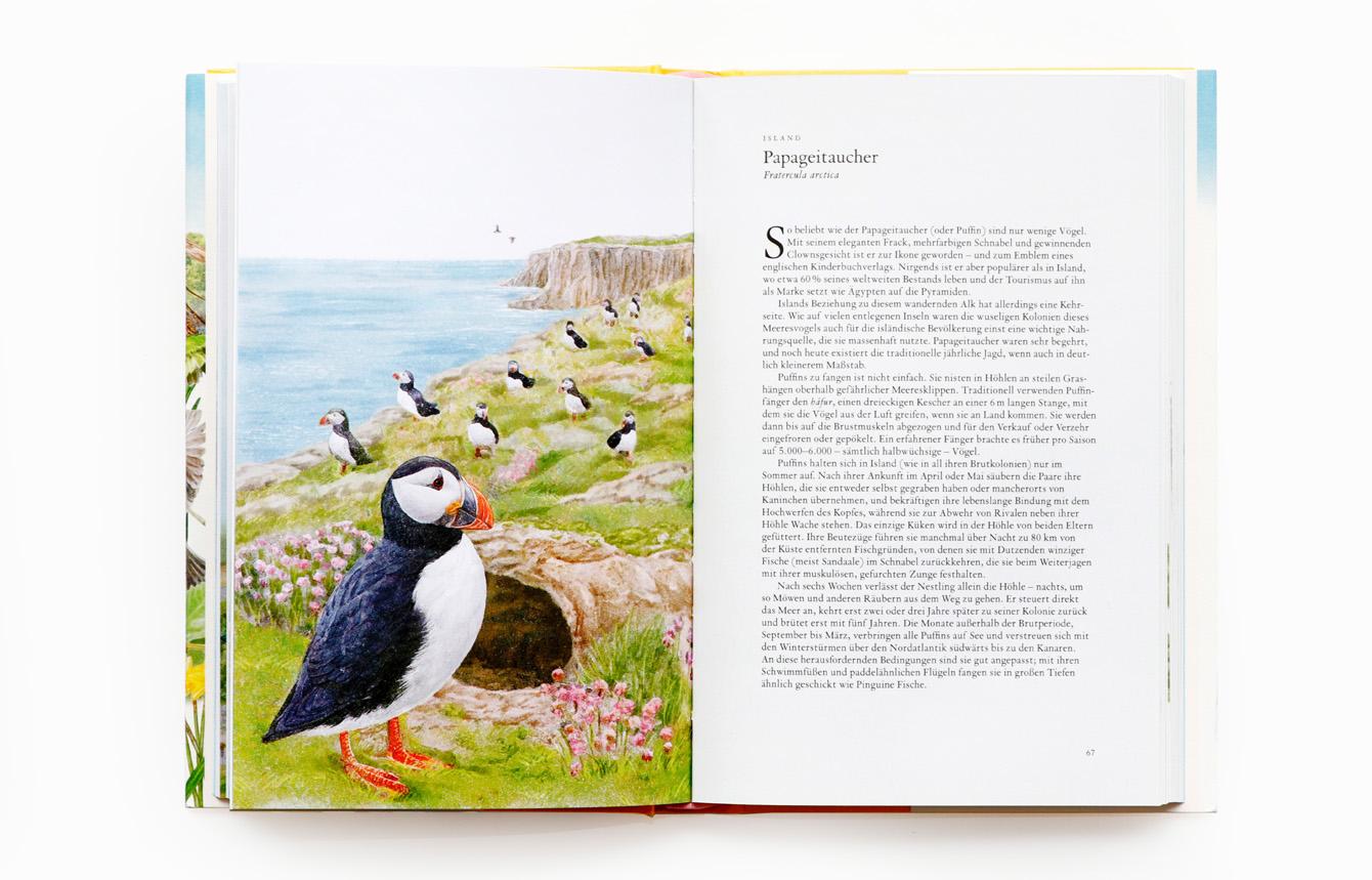 Bild: 9783962442330 | In 80 Vögeln um die Welt | Mike Unwin | Buch | 224 S. | Deutsch | 2022