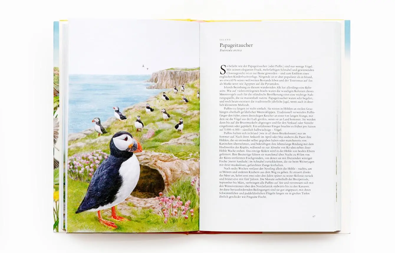 Bild: 9783962442330 | In 80 Vögeln um die Welt | Mike Unwin | Buch | 224 S. | Deutsch | 2022
