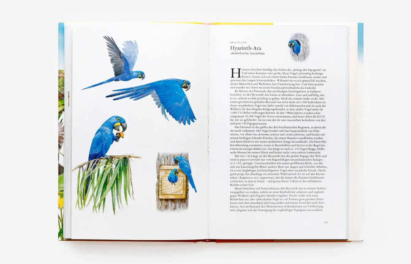 Bild: 9783962442330 | In 80 Vögeln um die Welt | Mike Unwin | Buch | 224 S. | Deutsch | 2022