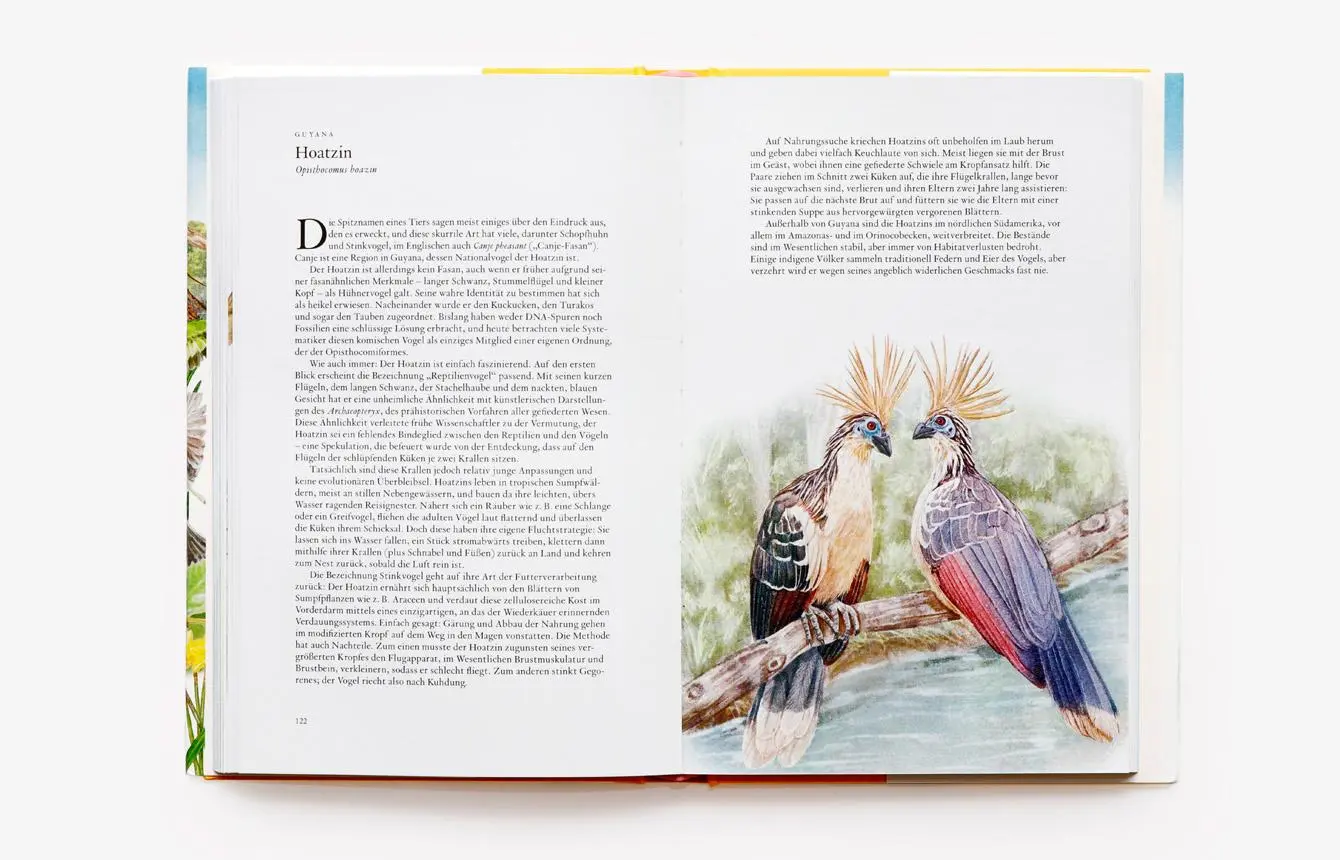 Bild: 9783962442330 | In 80 Vögeln um die Welt | Mike Unwin | Buch | 224 S. | Deutsch | 2022