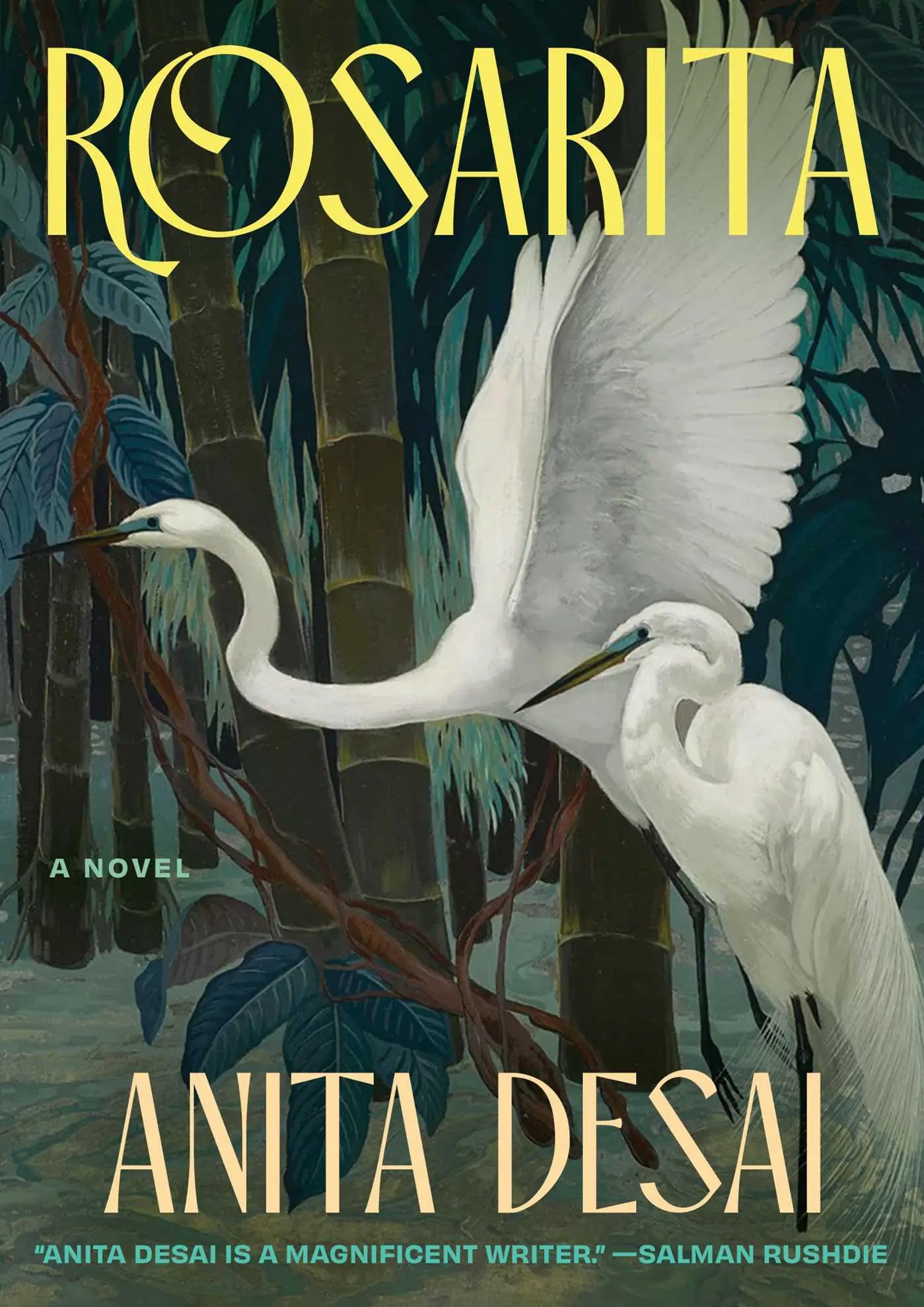 Cover: 9781668082430 | Rosarita | Anita Desai | Buch | Englisch | 2025 | EAN 9781668082430