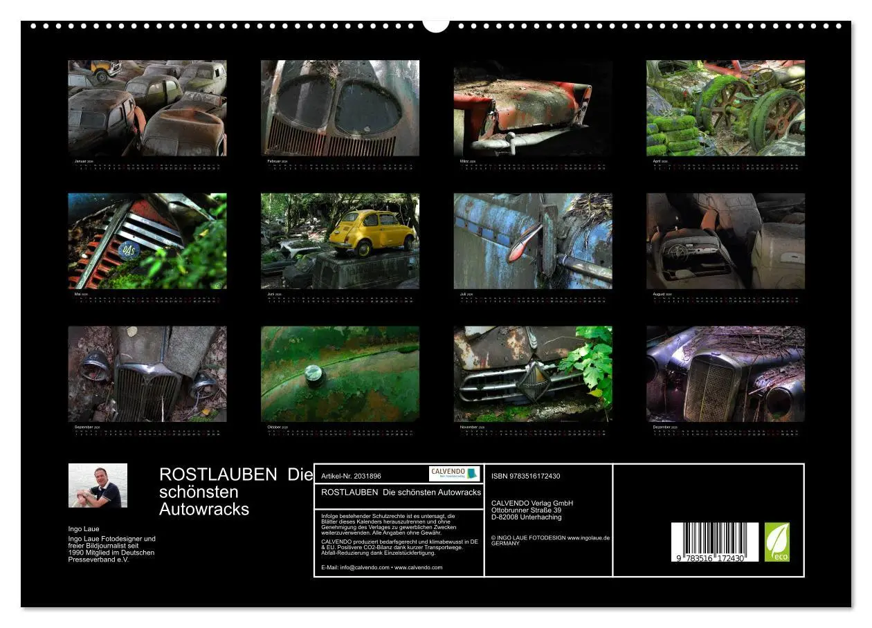 Bild: 9783516172430 | ROSTLAUBEN Die schönsten Autowracks (hochwertiger Premium...