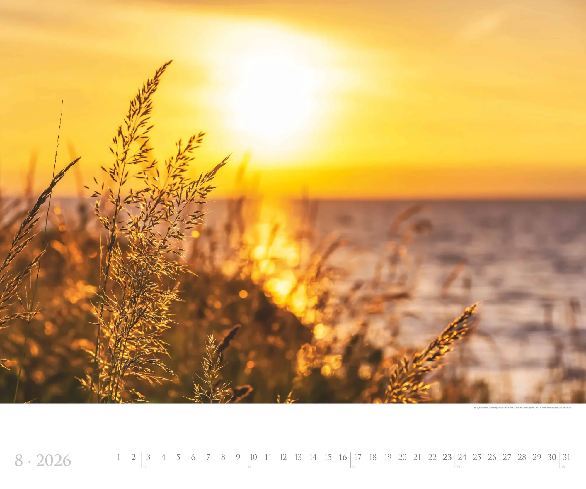 Bild: 4069095002630 | Deutsche Küsten 2026 - Bildkalender XXL 60x50 cm - hochwertiger...