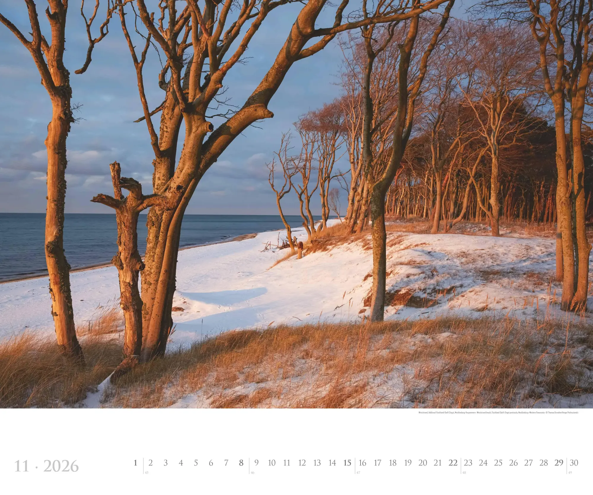 Bild: 4069095002630 | Deutsche Küsten 2026 - Bildkalender XXL 60x50 cm - hochwertiger...