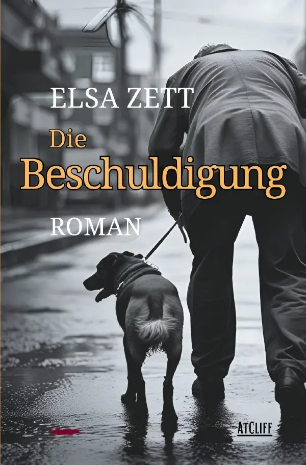 Cover: 9783565042630 | Die Beschuldigung | Roman | Elsa Zett | Taschenbuch | 292 S. | Deutsch