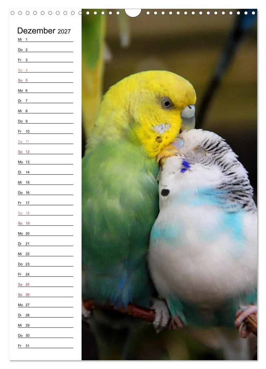 Bild: 9783569792630 | WELLENSITTICHE - Süße Wellis (Wandkalender 2027 DIN A3 hoch),...