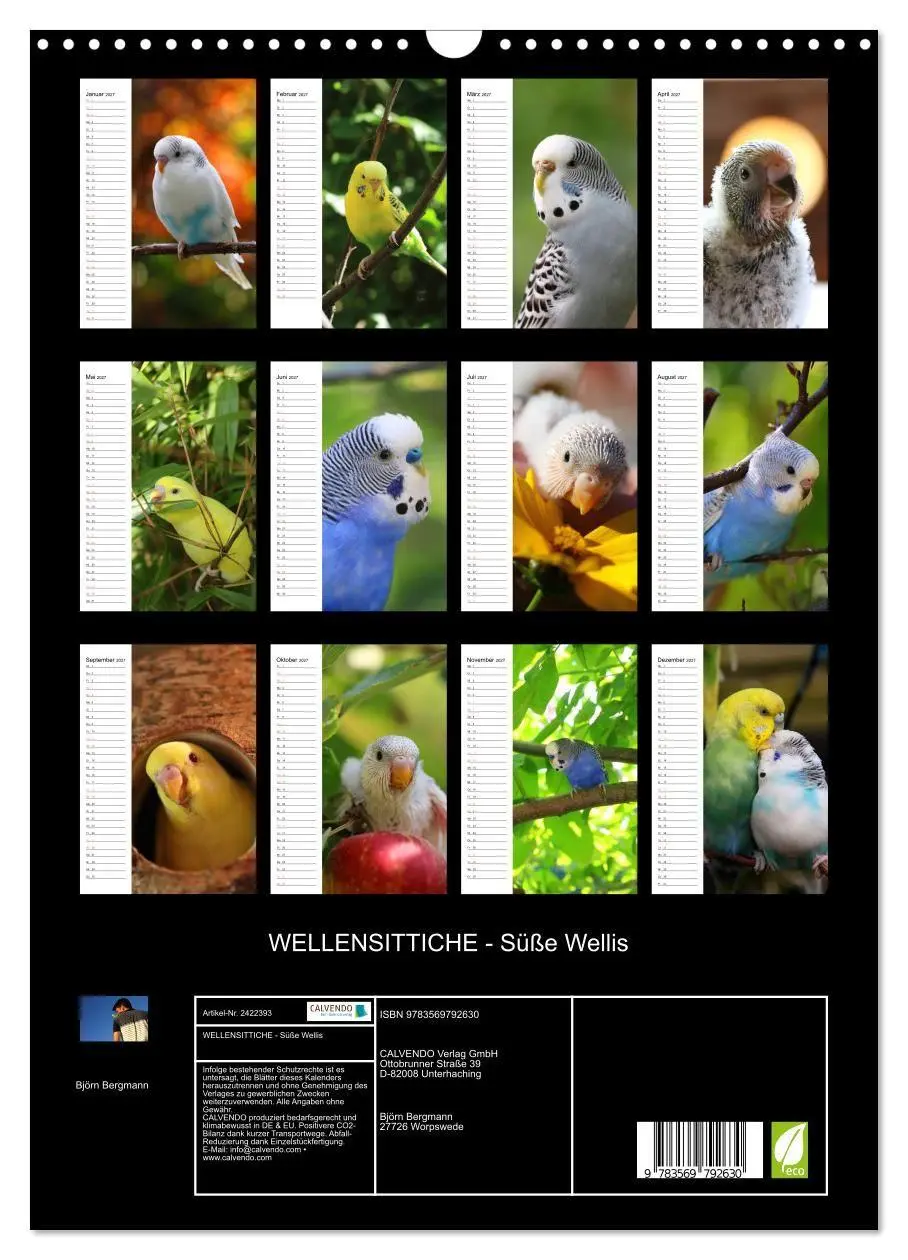 Bild: 9783569792630 | WELLENSITTICHE - Süße Wellis (Wandkalender 2027 DIN A3 hoch),...